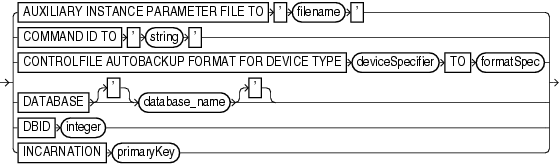 Description of setrmanorrunoption.gif follows